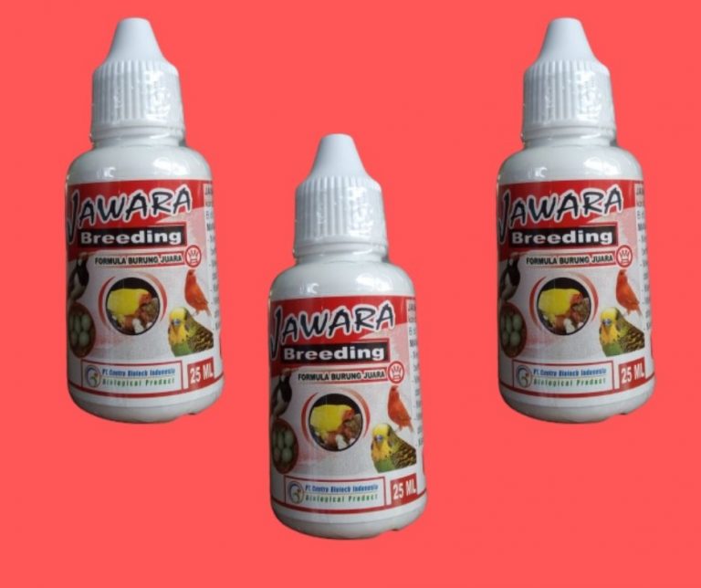 Retail Obat Burung Gacor, Pesan Obat Burung Gatal, Harga Obat Burung Gak Mau Makan