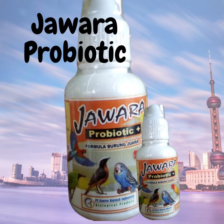 Custom Obat Untuk Burung, Jual Obat Untuk Burung Kenari Serak, Agen Obat Untuk Burung Lovebird