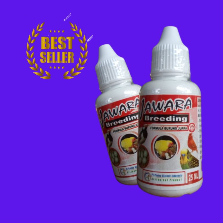 Custom Obat Burung Dara Batuk, Jual Obat Burung Dara Sakit, Agen Obat Burung Dara Pilek