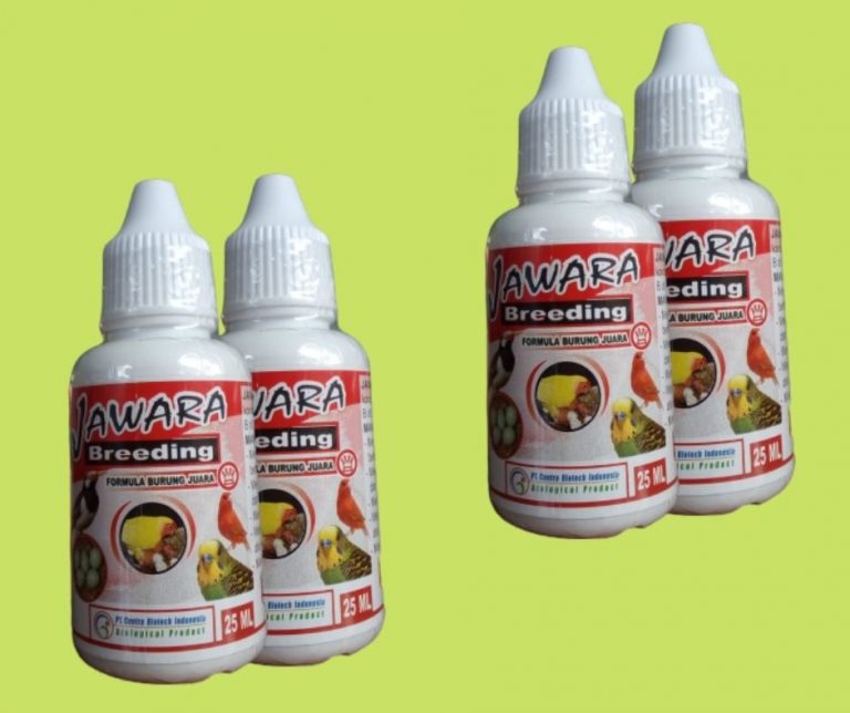 Pusat Obat Burung Emprit, Retail Obat Burung Gacor, Pesan Obat Burung Gatal
