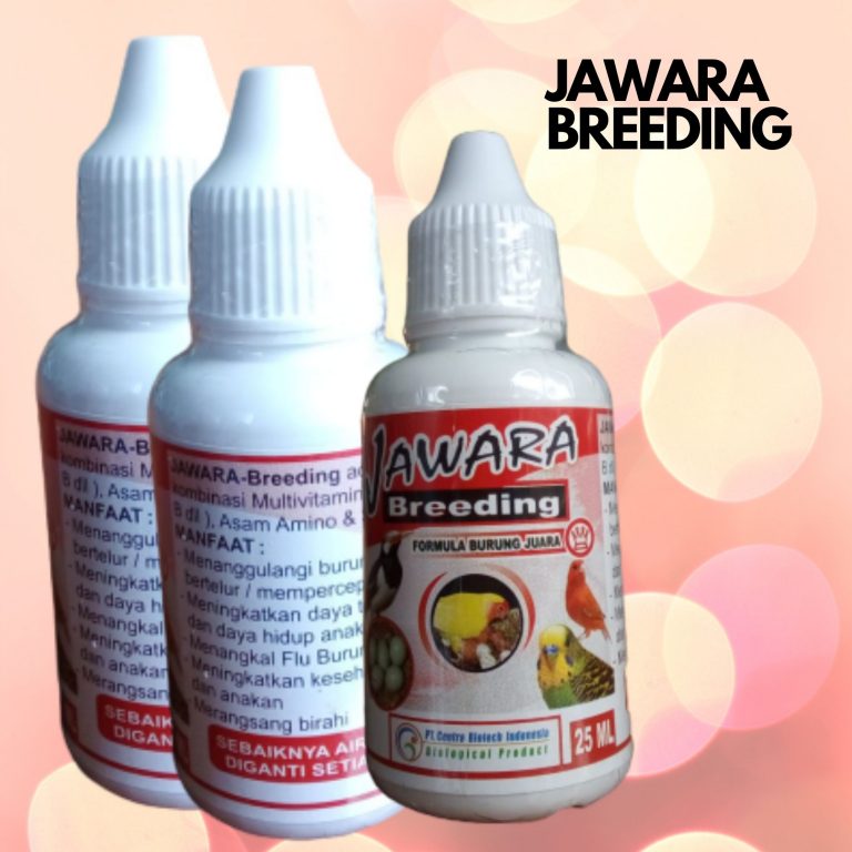 Toko Obat Burung Dara Bengek, Pengrajin Obat Burung Derkuku, Pusat Obat Burung Emprit