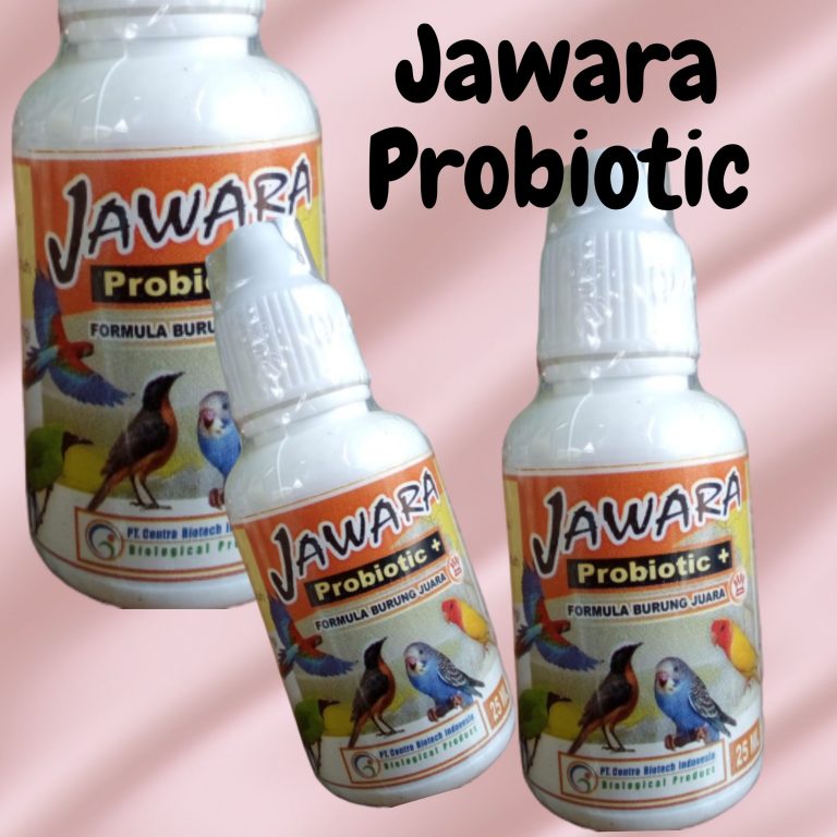Jual Obat Untuk Burung Kenari Serak, Agen Obat Untuk Burung Lovebird, Jual Obat Burung