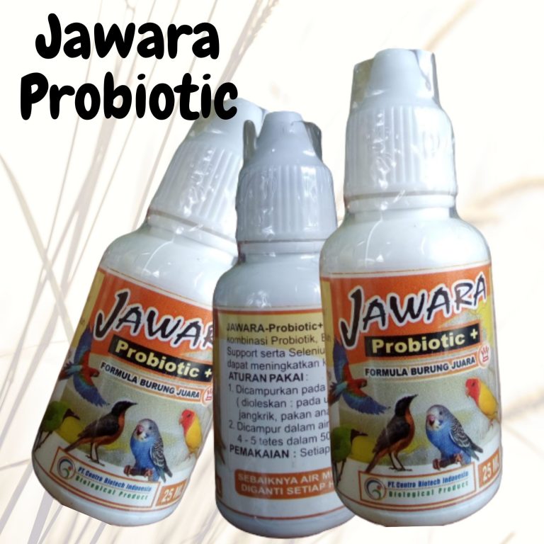 Agen Obat Untuk Burung Lovebird, Jual Obat Burung, Agen Obat Burung Super