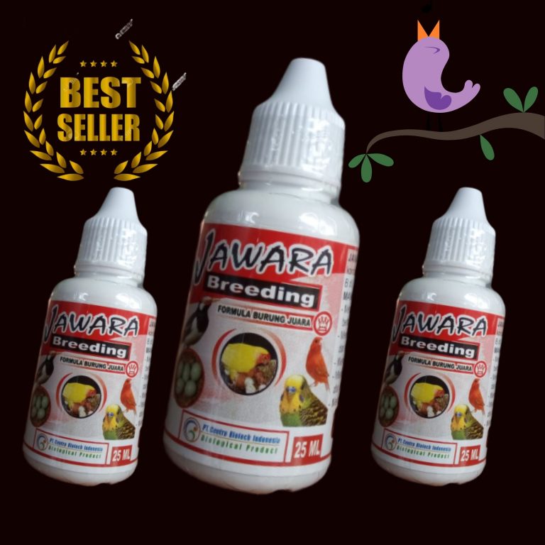 Jual Obat Burung Dara Sakit, Agen Obat Burung Dara Pilek, Distributor Obat Burung D2k