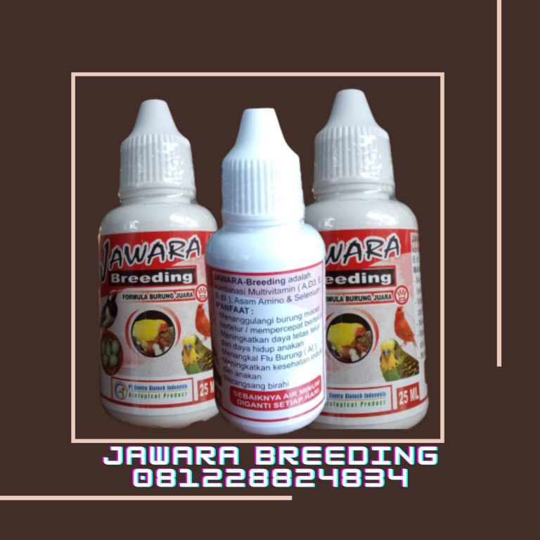 Pengrajin Obat Burung Derkuku, Pusat Obat Burung Emprit, Retail Obat Burung Gacor