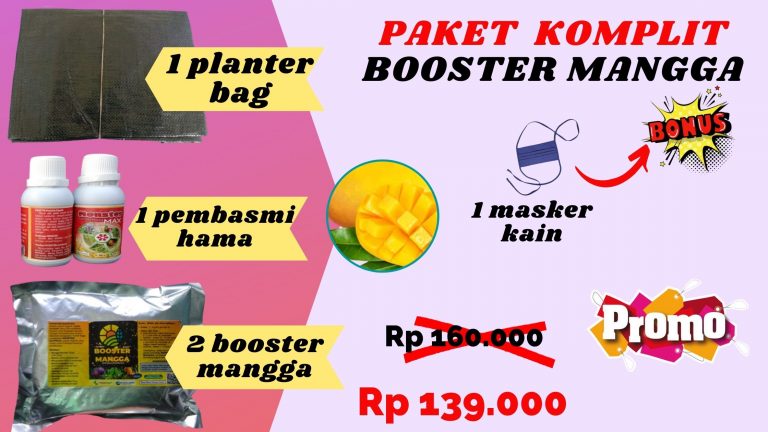 BIG SALE Pengrajin Pupuk Mangga Agar Berbuah Lebat Kota Banjarmasin, Pusat Pupuk Mangga Supaya Berbuah Kota Banjarbaru, Toko Pupuk Mangga Kiojay Medan