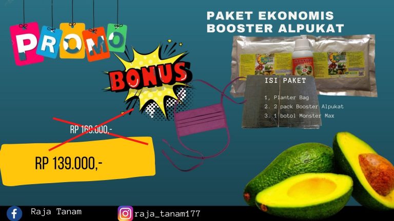 MURAH 0812-2882-4834 Dsitributor Pupuk Alpukat Biar Cepat Berbuah Bandung, Harga Pupuk Alpukat Yang Baik Soreang, Produsen Pupuk Alpukat Agar Tidak Rontok Bandung Barat