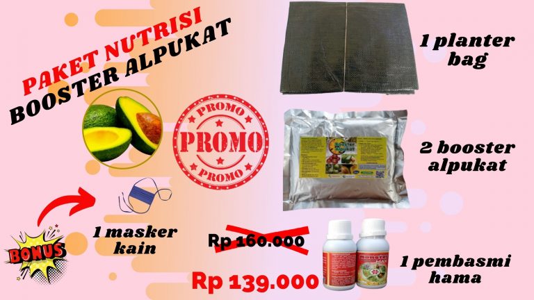 BIG SALE Paket Pupuk Alpukat Agar Tidak Rontok Ponorogo, Pupuk Alpukat Mentega Probolinggo Kraksaan, Alpukat Penyubur Kandungan Sampang