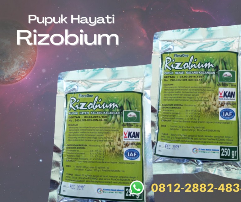 BIG SALE 0812-2882-4834 Pengrajin Pupuk Kacang Merah Kediri, Pusat Pupuk Kacang Kedelai Ngasem, Retail Pupuk Kacang Buncis Lamongan