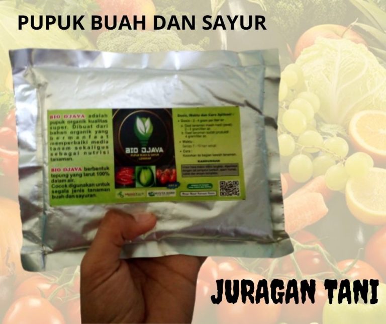 TERUPDATE Produsen Pupuk Buah Cabe Sanggau, Grosir Pupuk Buah Anggur Sanggau, Jual Pupuk Buah Durian Ketapang