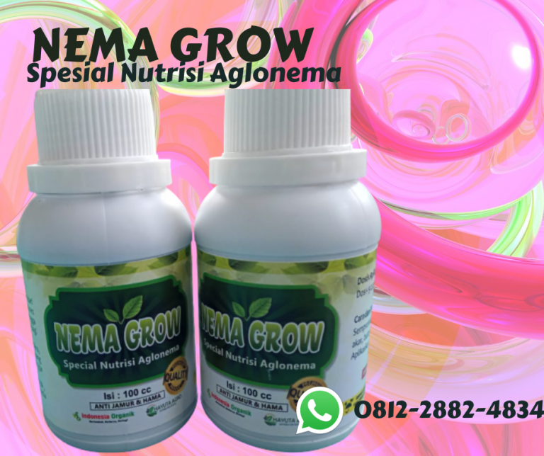 TERBARU 0812-2882-4834 Pupuk Macam Macam Bunga Aglonema Manado, Pupuk Aglonema Red King Bolaang Mongondow, Pupuk Aglonema Red Anjasmani Lolak