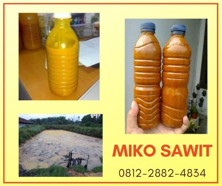 SPECIAL Retail Manfaat Miko Sawit Semarang, Pengrajin Pembeli Miko Sawit Banjarnegara, Pusat Limbah Miko Sawit Banyumas