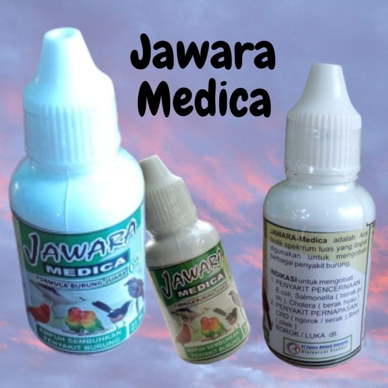 Retail Obat Burung Dara, Pesan Obat Burung Dara Telo, Harga Obat Burung Dara Cekrek