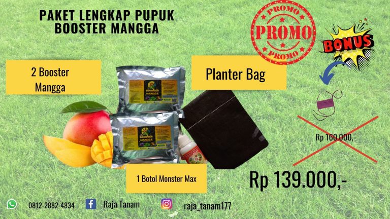 TERBAIK 0812-2882-4834 Harga Pupuk Mangga Supaya Cepat Berbuah  Medan, Produsen Pupuk Mangga Dalam Pot Tapanuli Tengah, Grosir Pupuk Mangga Berbuah Lebat Pandan