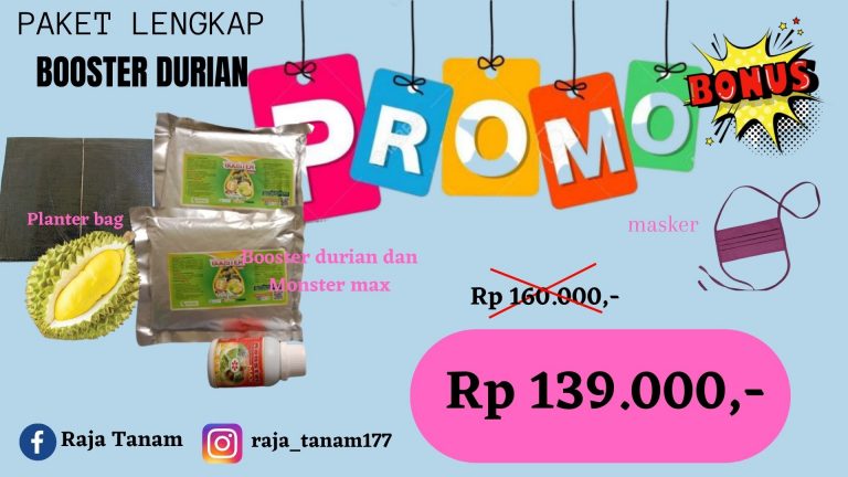 TERPERCAYA  0812-2882-4834 Pesan  Kandungan Nutrisi Durian Sungguminasa, Harga  Nutrisi Buah Durian Enrekang, Custom  Nutrisi Pohon Durian Dan Manfaatnya Sinjai
