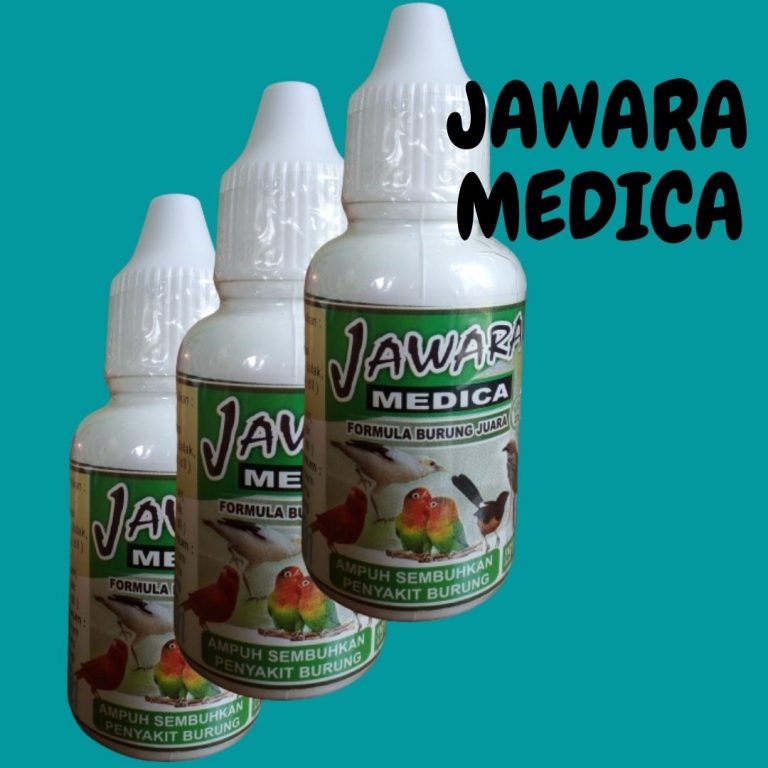 ASLI Toko Obat Burung Cucak Ijo Suara Serak Kota Pangkal Pinang, Produsen Obat Burung Dara Kendari, Distributor Obat Burung Dara Telo Kolaka