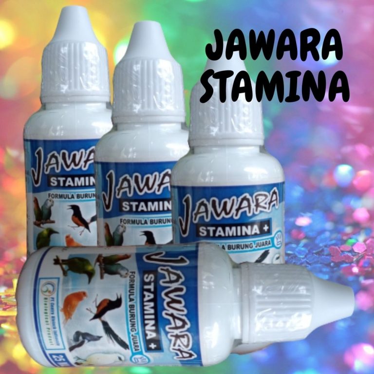 Agen Obat Burung Puter Sakit Kota Manokwari, Distributor Obat Burung Pilek Sorong, Obat Burung Perkutut Sakit Aimas