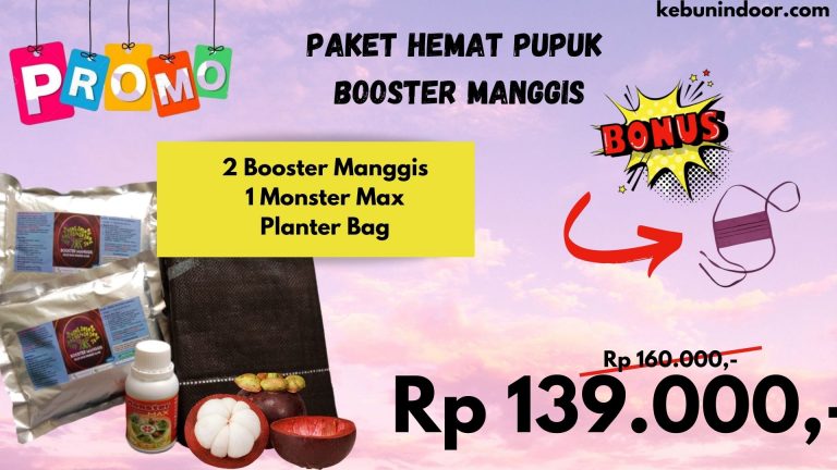DISKON 0812-2882-4834 Produsen Nutrisi Manggis Kerinci, Grosir Nutrisi Pohon Manggis Siulak, Pabrik Pupuk Buah Untuk Manggis Merangin