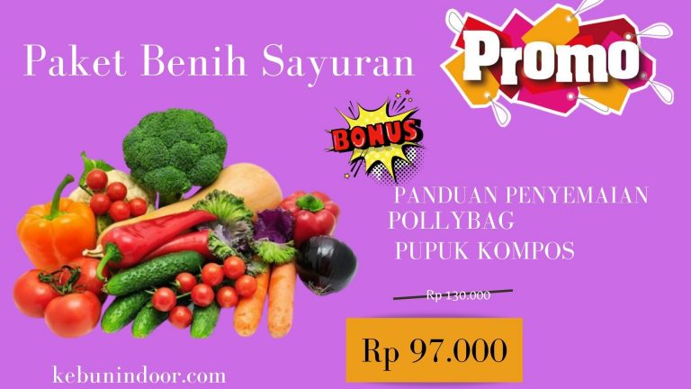 HARI INI 0812-2882-4834 Toko Paket Benih Sayuran Klaten, Asli Paket Benih Sayuran   Pontianak, Beli Paket Benih Sayur Sambas
