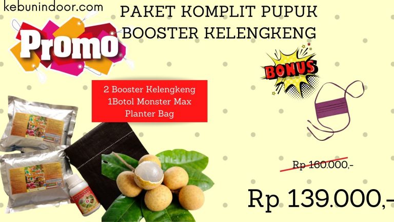 TERMURAH 0812-2882-4834 Murah Pupuk Kelengkeng Matalada Kota Tegal, Diskon Pupuk Kelengkeng Agar Cepat Berbuah Kota Surakarta, Tempat Pupuk Kelengkeng Agar Berbuah Lebat Kota Semarang