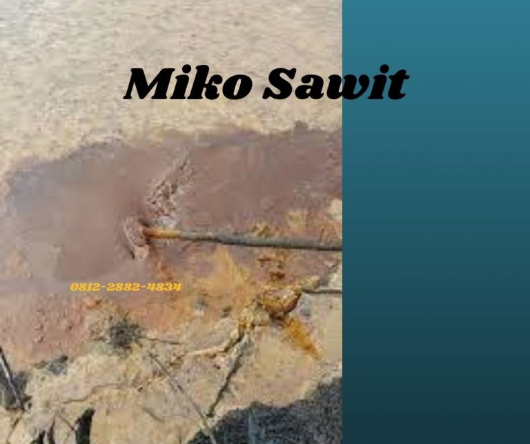 DISKON Custom Jual Limbah Sawit Miko Padang, Harga Limbah Cair Minyak Kotor Miko Sawit Pesisir Selatan, Agen Miko Sawit Painan