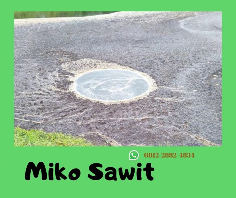 FOR SALE Jual Miko Sawit Kerinci, Pengrajin Miko Kelapa Sawit Siulak, Pusat Pembeli Miko Sawit Merangin