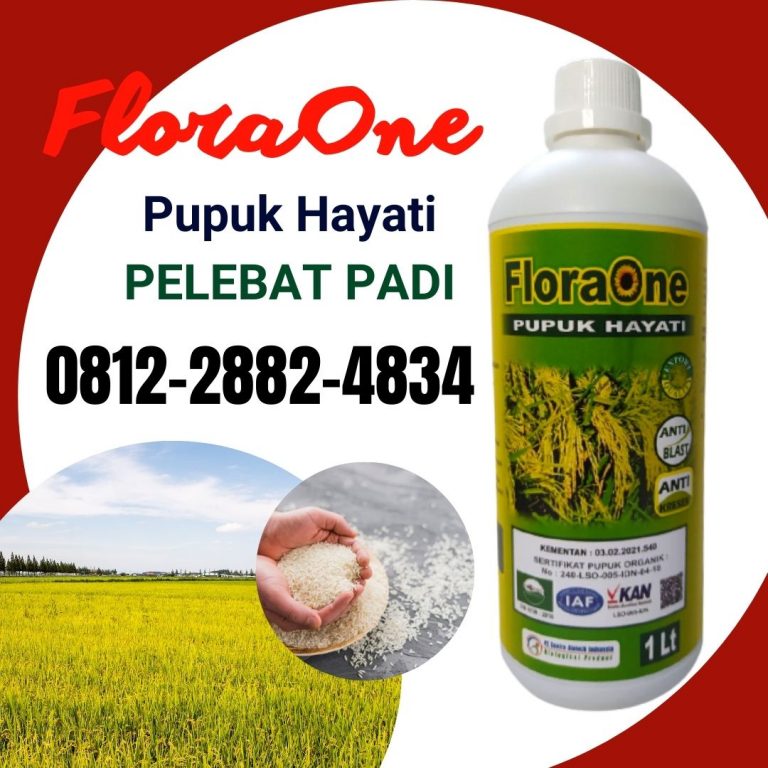 ORI! 0812-2882-4834 Distributor Obat Padi Merah Kekuningan Belu, Produsen Obat Padi Sundep Ende, Pabrik Obat Padi Alami Aceh Barat