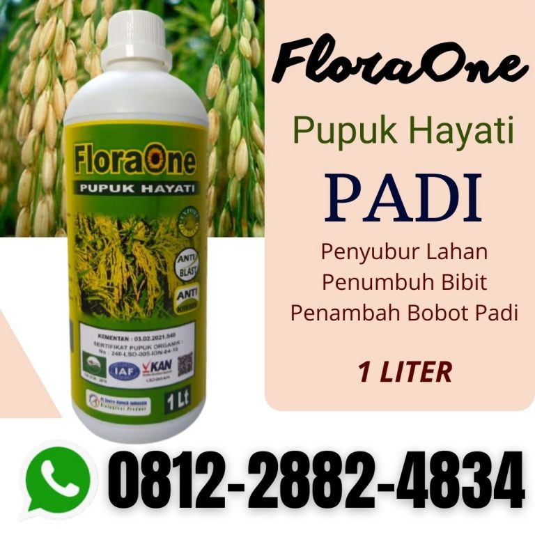 CEGAH LAYU! 0812-2882-4834 Pusat Obat Padi Kerdil Dan Kuning Alor, Distributor Obat Padi Merah Kekuningan Belu, Produsen Obat Padi Sundep Ende