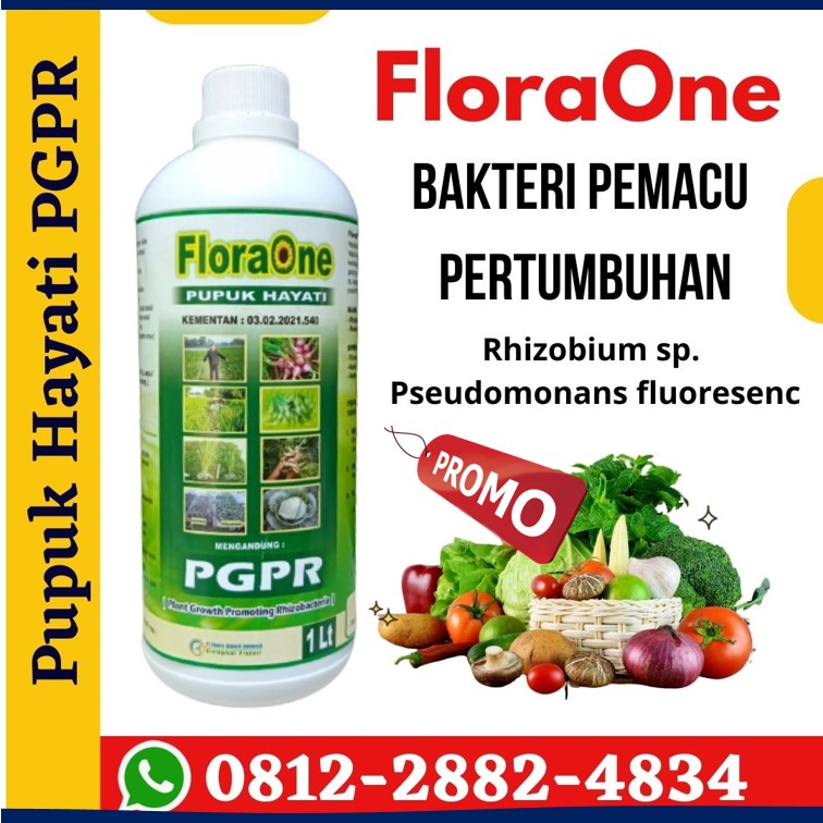 Suplier Pupuk Pgpr Untuk Buah Makassar, Pusat Pupuk Pgpr Untuk Bunga Palopo, Distributor Pupuk Pgpr Untuk Buah Dalam Pot Parepare, Produsen Pupuk Pgpr Untuk Bawang Merah Bantaeng