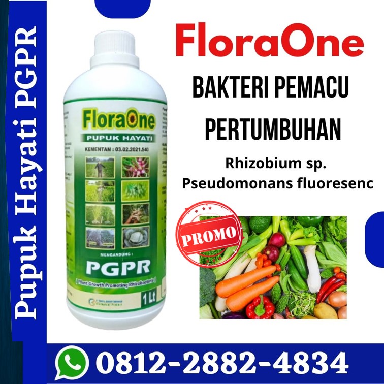 Supplier Pupuk Alami Penyubur Pgpr Untuk Cabe Wajo, Suplier Pupuk Pgpr Untuk Buah Makassar, Pusat Pupuk Pgpr Untuk Bunga Palopo, Distributor Pupuk Pgpr Untuk Buah Dalam Pot Parepare