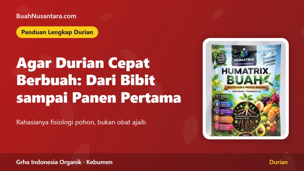 Agar Durian Cepat Berbuah: Panduan Lengkap dari Bibit sampai Panen Pertama