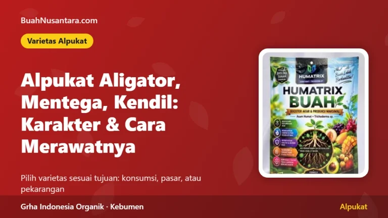 Alpukat Aligator, Mentega, dan Kendil: Karakter dan Cara Merawatnya