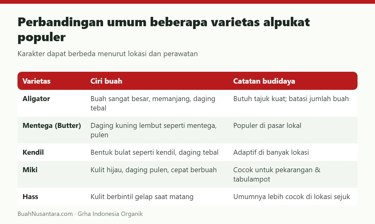 Perbandingan umum beberapa varietas alpukat populer