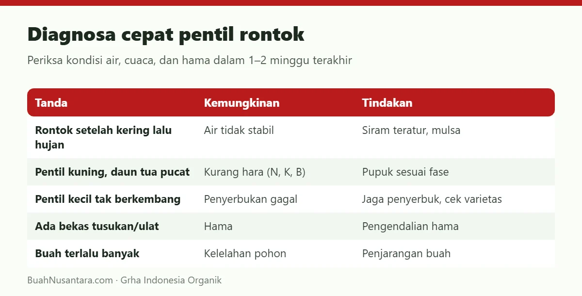 Diagnosa cepat pentil rontok