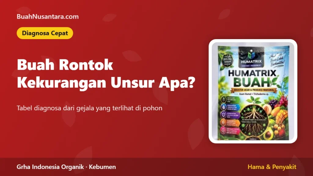 Buah Rontok Kekurangan Unsur Apa? Diagnosa Cepat dengan Tabel