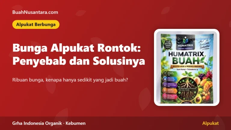Bunga Alpukat Rontok: Penyebab dan Solusinya