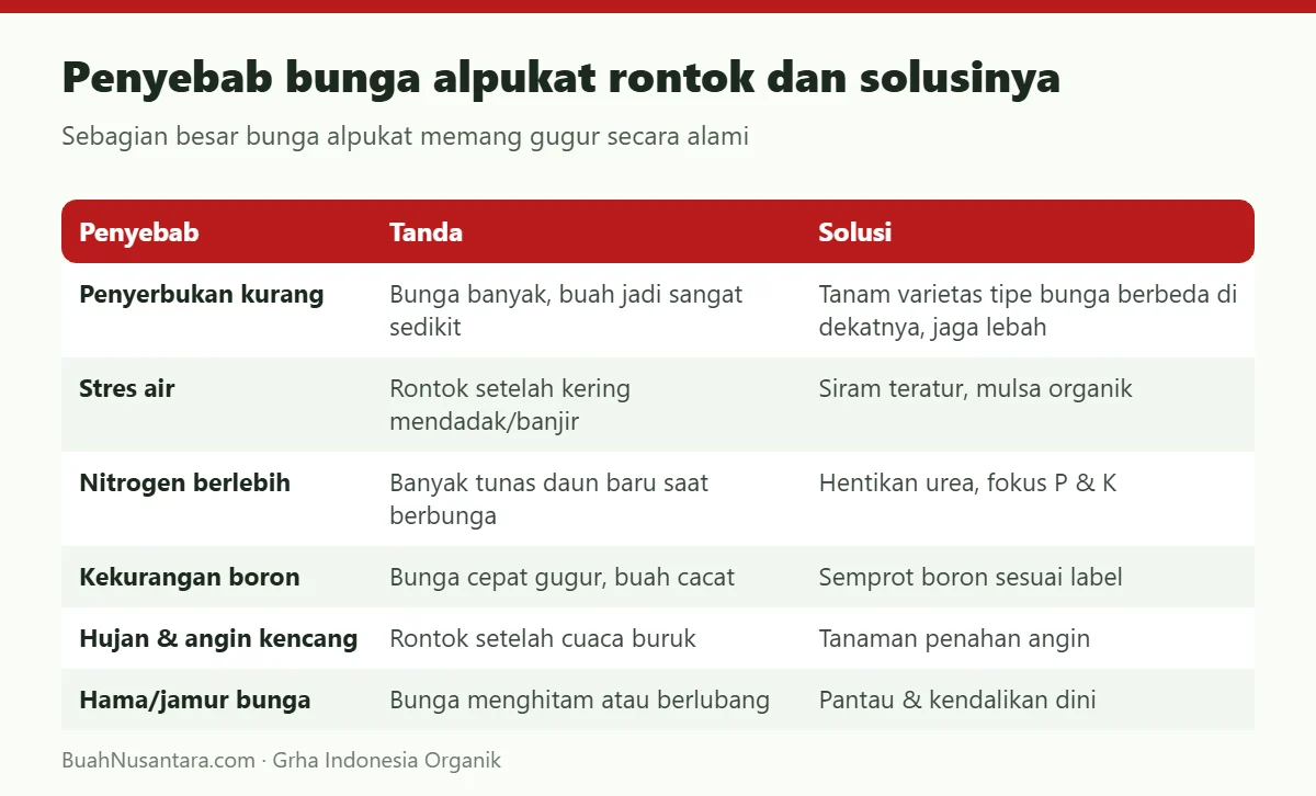 Penyebab bunga alpukat rontok dan solusinya