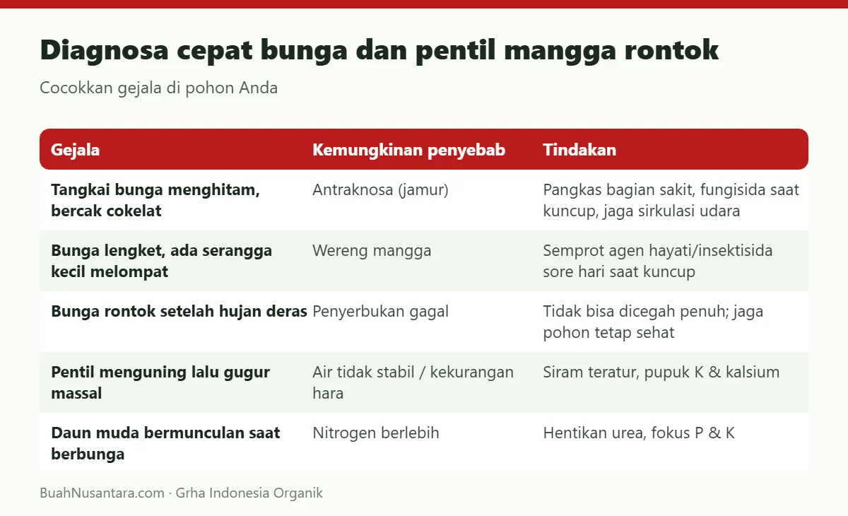 Diagnosa cepat bunga dan pentil mangga rontok