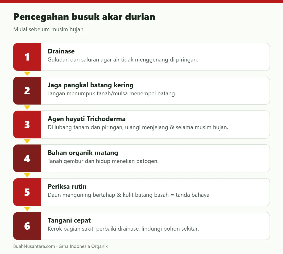 Pencegahan busuk akar durian