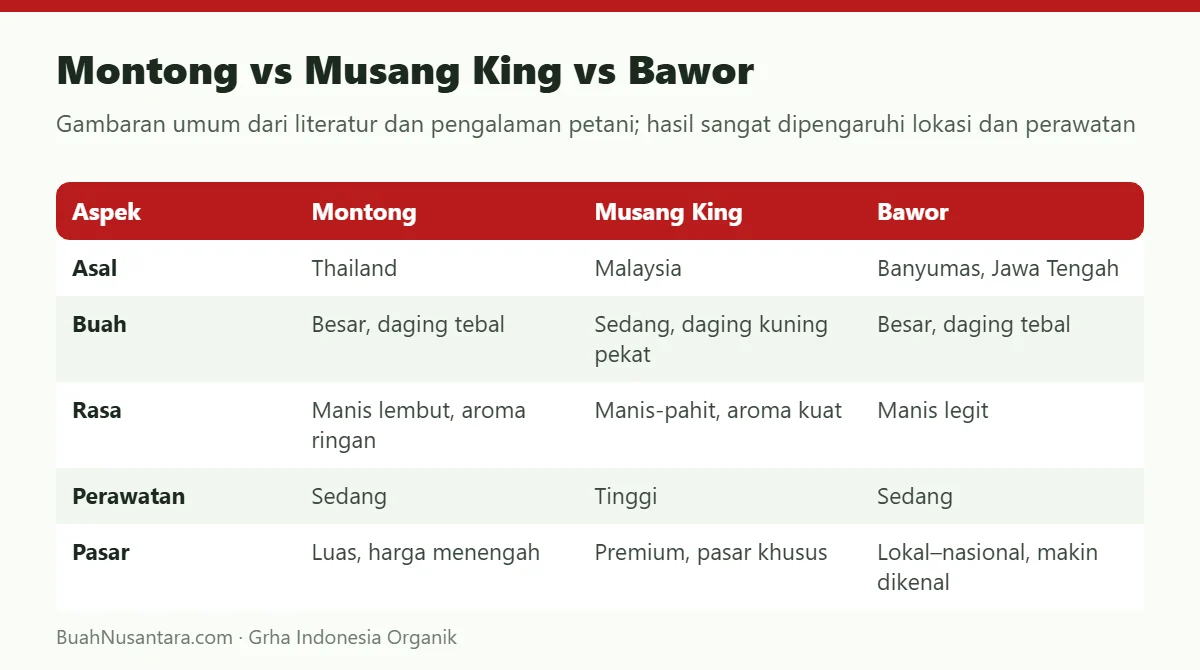 Montong vs Musang King vs Bawor
