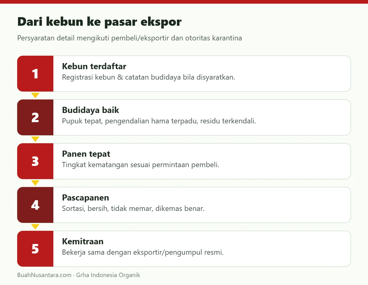 Dari kebun ke pasar ekspor