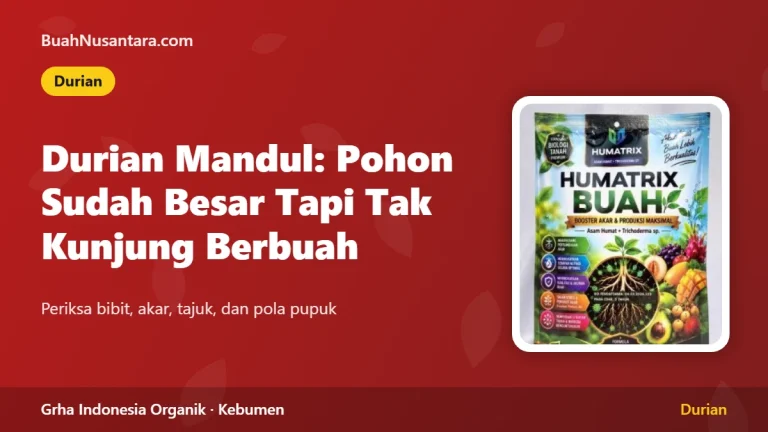 Durian Mandul: Pohon Sudah Besar Tapi Tak Kunjung Berbuah