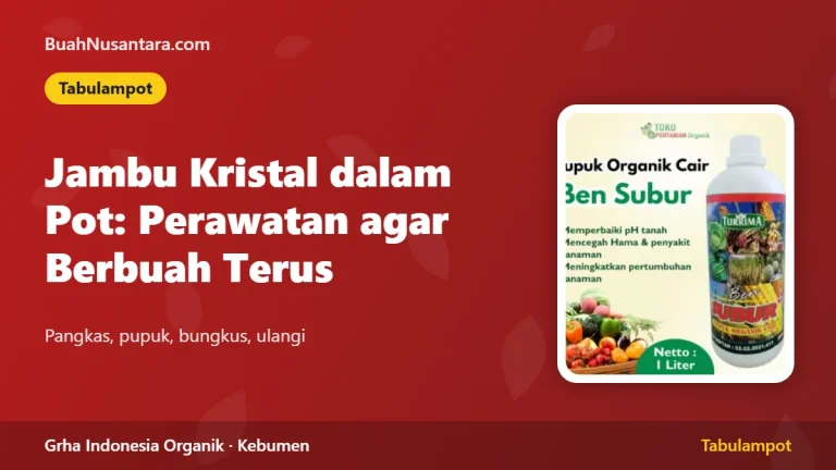Jambu Kristal dalam Pot: Perawatan agar Berbuah Terus
