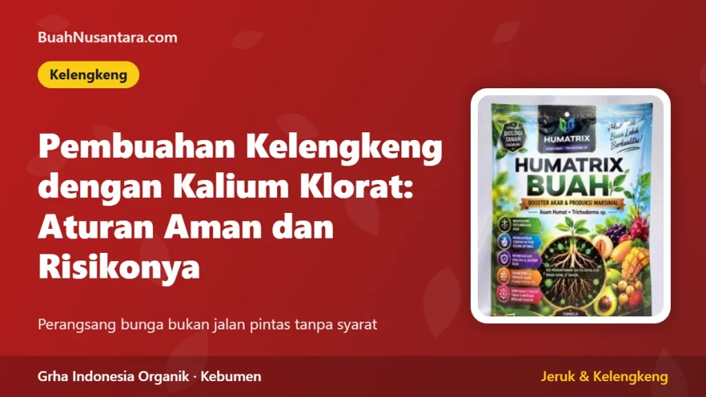 Pembuahan Kelengkeng dengan Kalium Klorat: Aturan Aman dan Risikonya