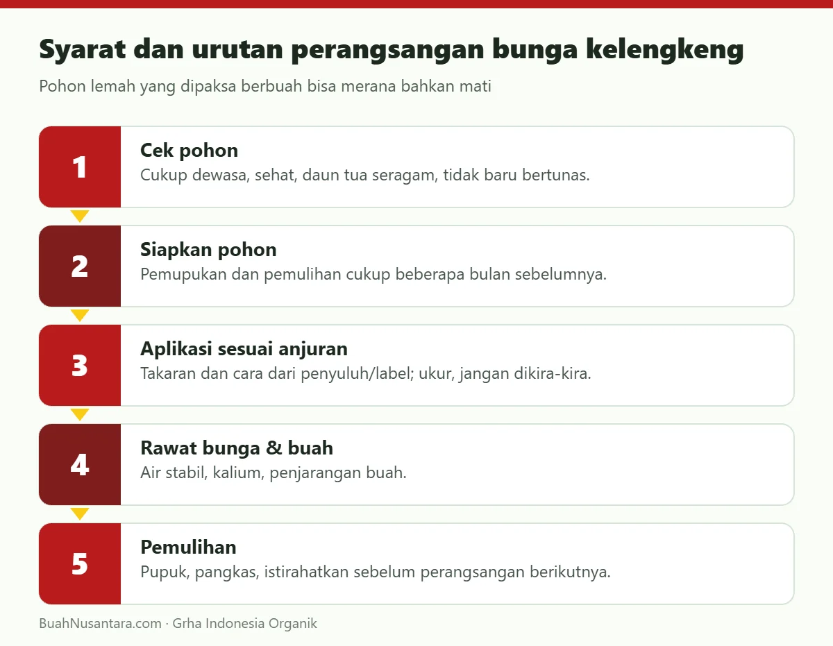 Syarat dan urutan perangsangan bunga kelengkeng