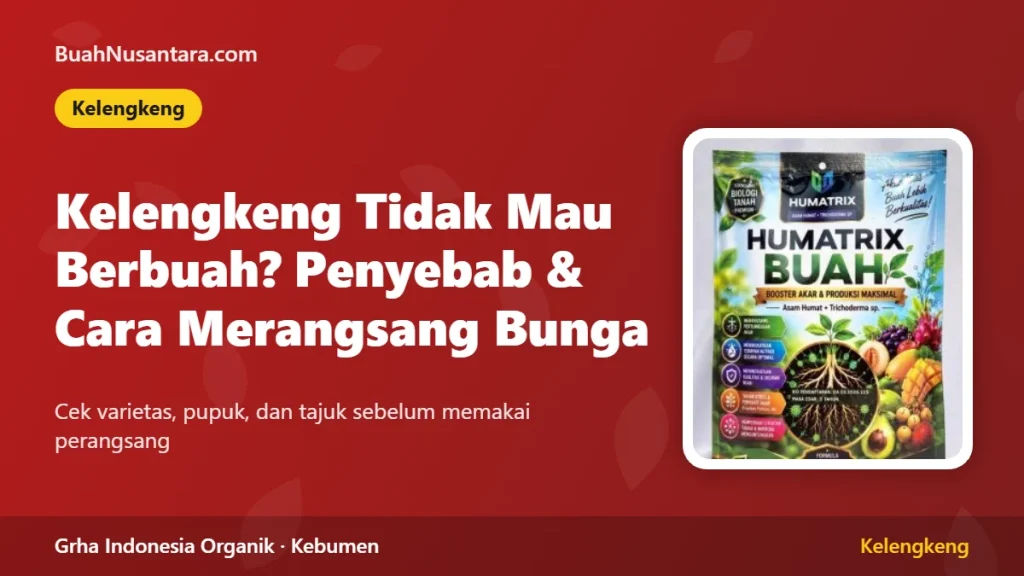 Kelengkeng Tidak Mau Berbuah: Penyebab dan Cara Merangsang Bunga
