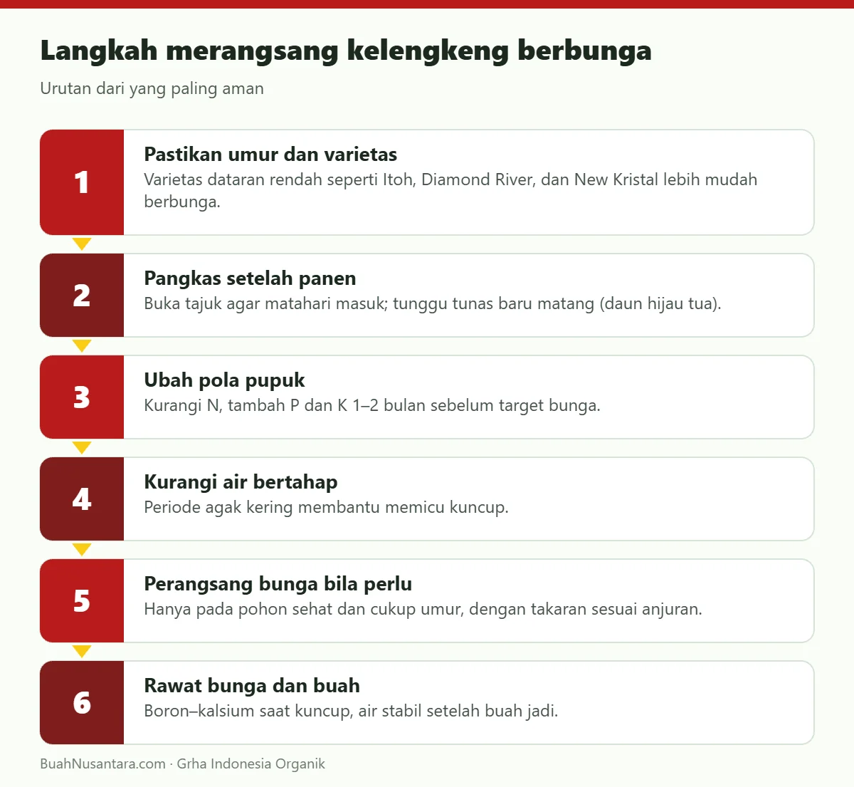 Langkah merangsang kelengkeng berbunga