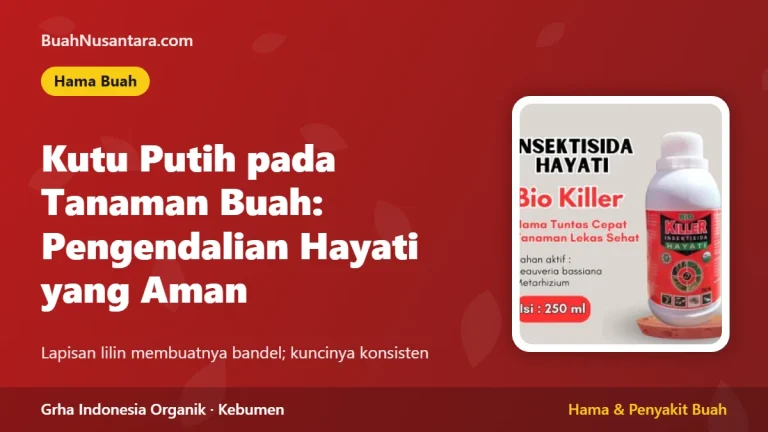 Kutu Putih pada Tanaman Buah: Pengendalian Hayati yang Aman