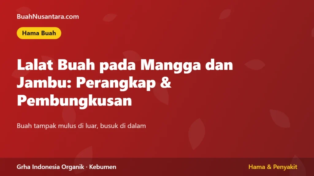 Lalat Buah pada Mangga dan Jambu: Perangkap dan Pembungkusan