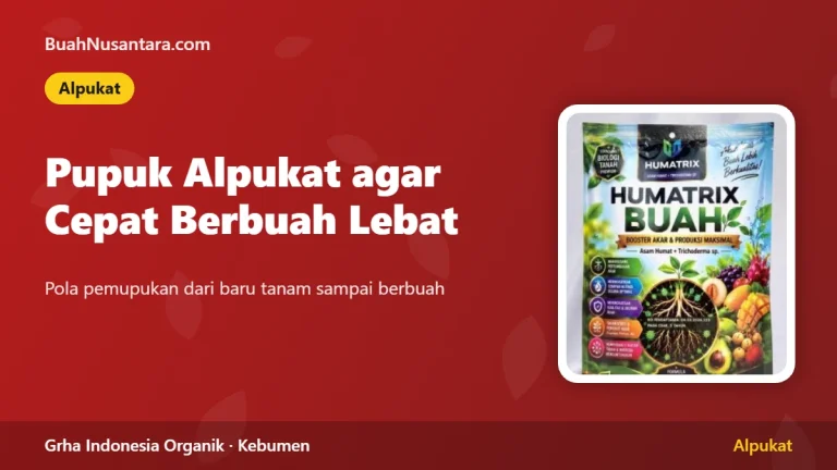 Pupuk Alpukat agar Cepat Berbuah Lebat: Fase Vegetatif sampai Generatif
